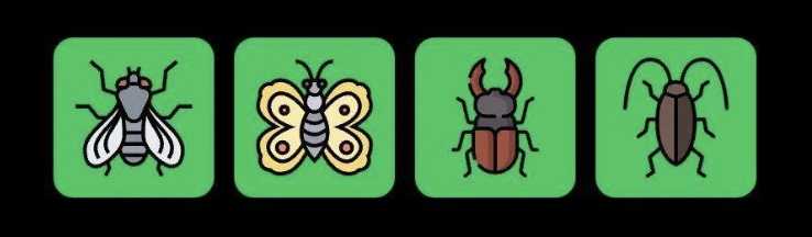FLIES Daily Combo 6 July 2025